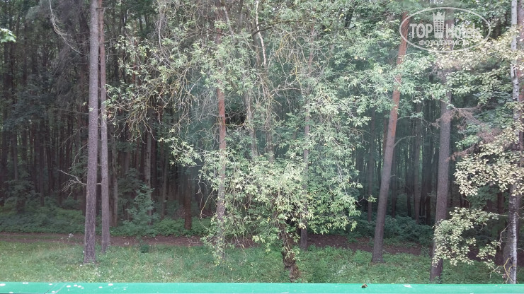 New photos from tourists Орша ТОК