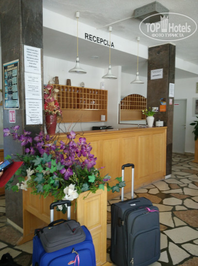 New photos from tourists Palma Hotel 3*