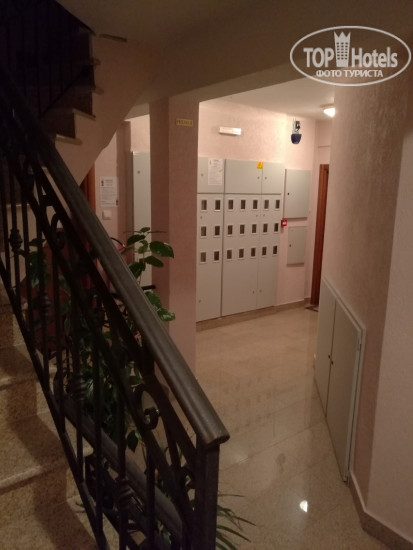 Фото Lux M Apartments