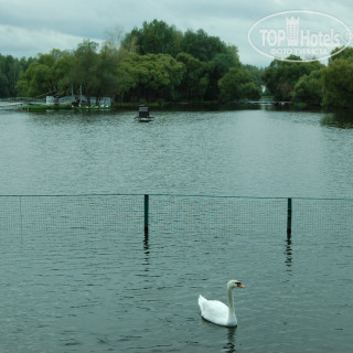 Photos Детский кардиоревматологический санаторий Красная Пахра № 20