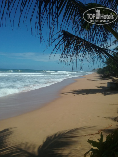 Фото Arcade Beach Resort