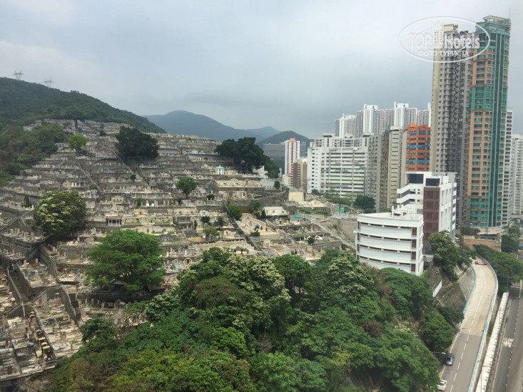 New photos from tourists Ovolo 100 Shek Pai Wan Road, Aberdeen 4*