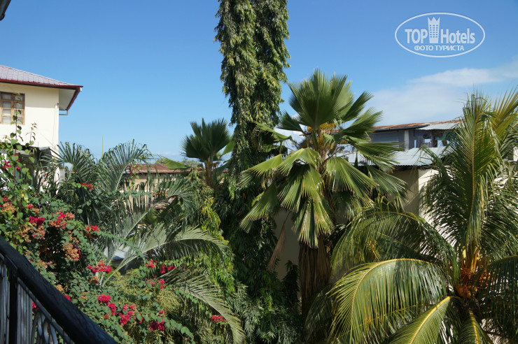 New photos from tourists Warere Town House