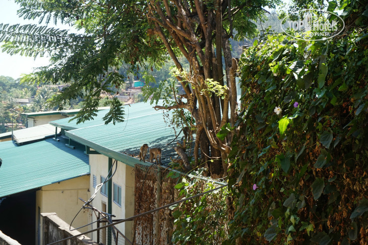 New photos from tourists Nature Walk Resort 3*
