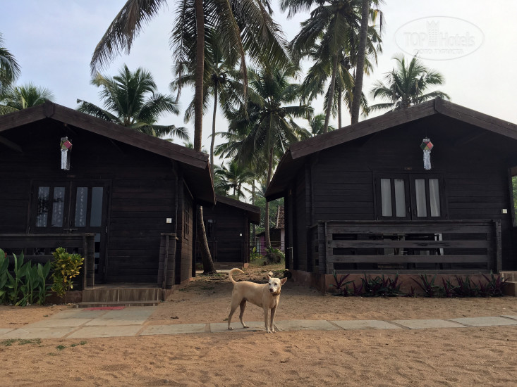 New photos from tourists Vista Praia 2*