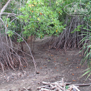 Фото Bliss Bay Nilaveli