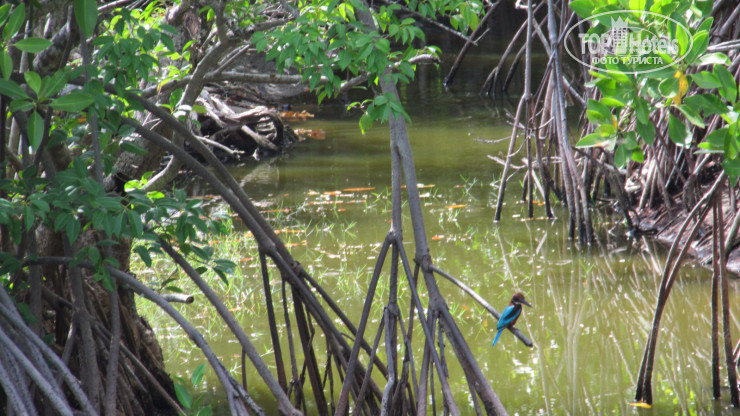New photos from tourists Bliss Bay Nilaveli