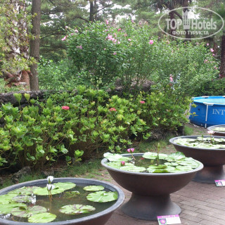 Photos Black Sands Hotel Jeju