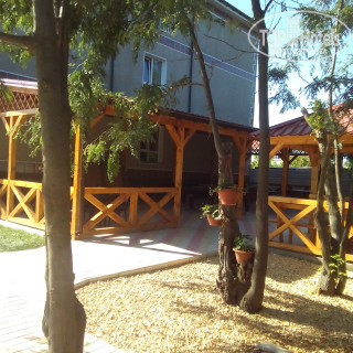 Photos Антуриум