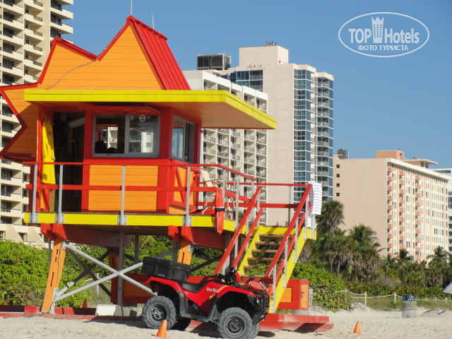 New photos from tourists Freehand Miami