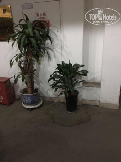 Фото Yuan Jia International Apartment