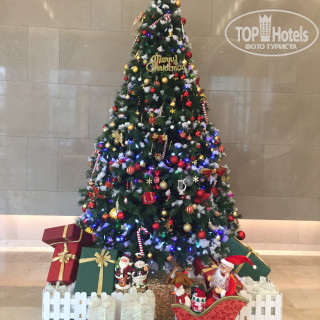 Фото Lotte City Hotel Daejeon