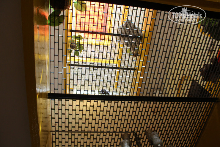 Hotel photo Shiva Kashi Guest House 
