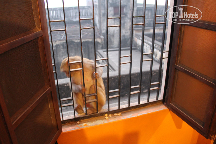 New photos from tourists Shiva Kashi Guest House
