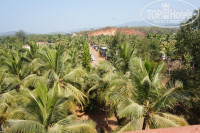 Фото Broad Bean Royal Resort