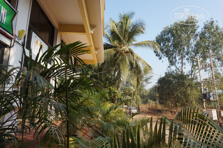 New photos from tourists Broad Bean Royal Resort