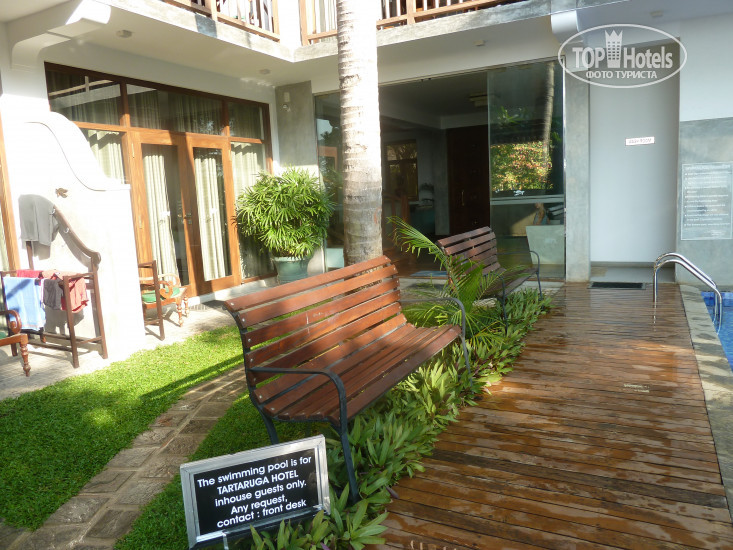 New photos from tourists Tartaruga Hotel