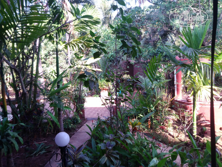 New photos from tourists Casa Rofina Hideaway 1*