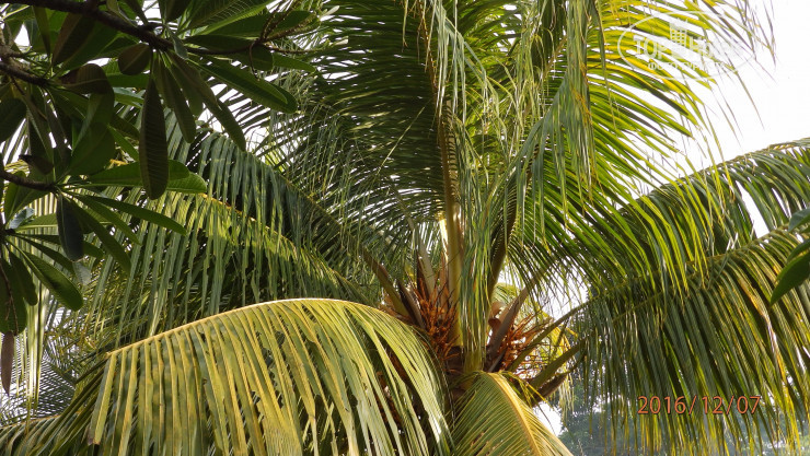 New photos from tourists Pande Guest House