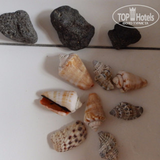 Photos Pande Guest House