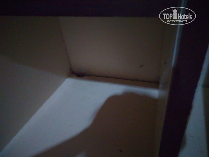 Hotelier's photos True Hotel 2*