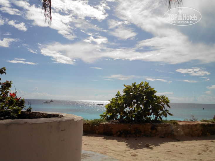 New photos from tourists Paradise Beach Bungalows