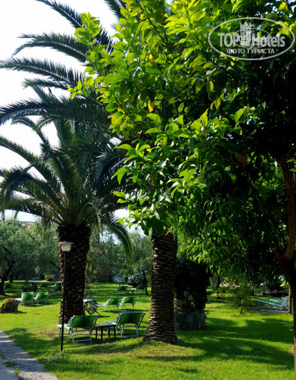 Hotel photo Livia Hotel 3*