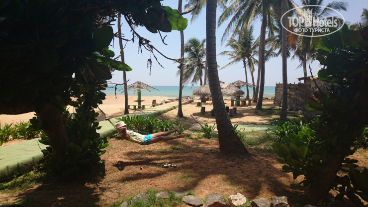 New photos from tourists The Cosy Beach 3*