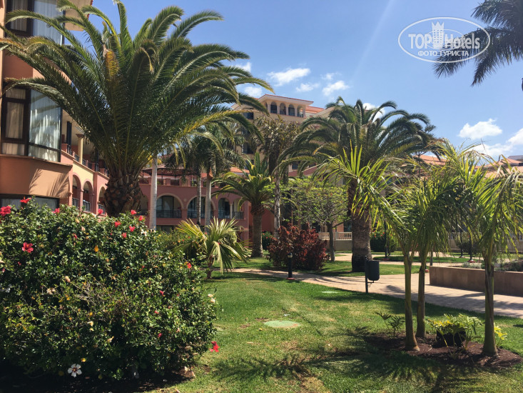 Новые добавленные фото туристов Iberostar Selection Anthelia 5*