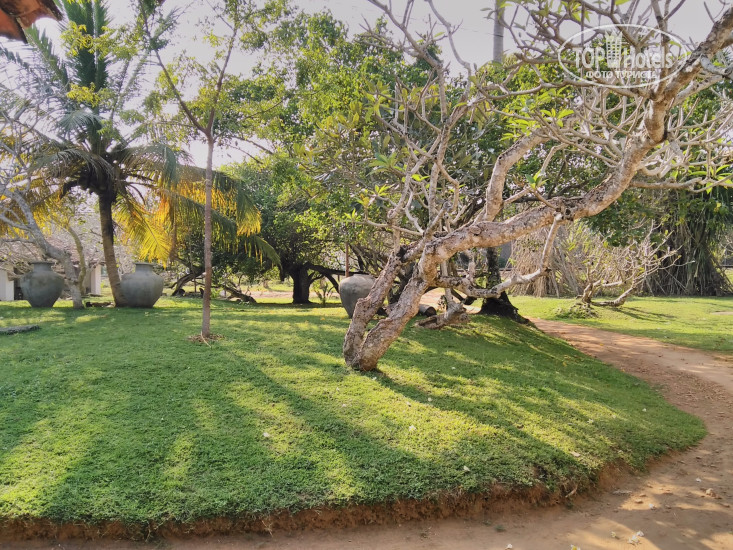 New photos from tourists Villa Bird Nest
