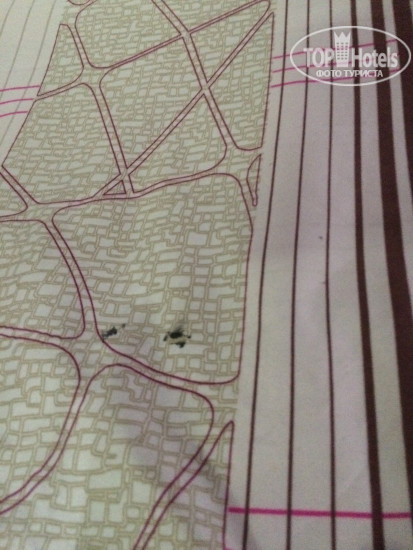 New photos from tourists ABC Hostel 1*