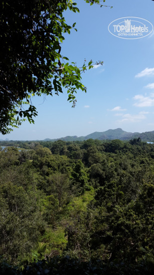 Hotel photo Heritance Kandalama 5*