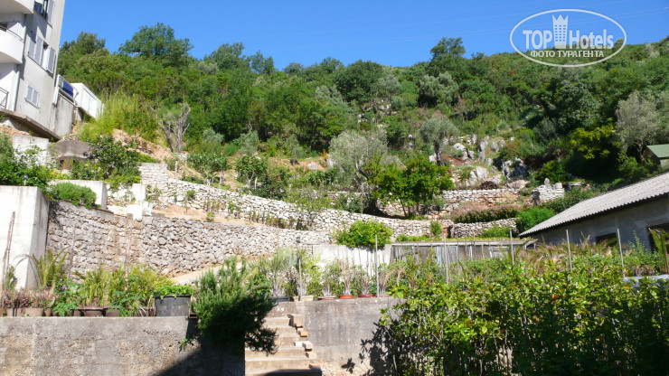 New photos from tourists Petkovic Villa 2*