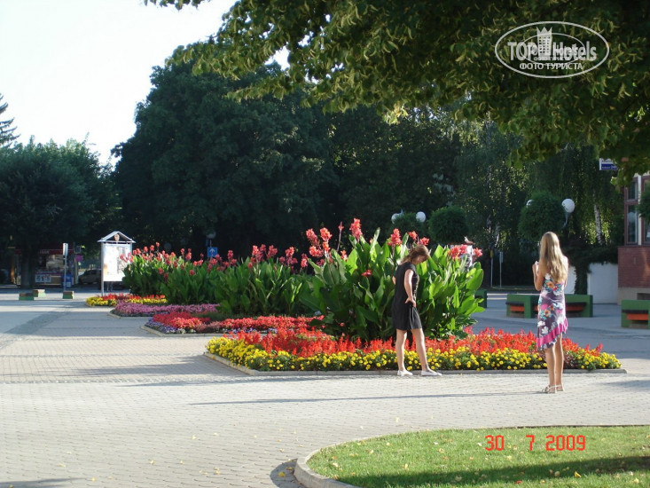 New photos from tourists Amalia Hotel 3*