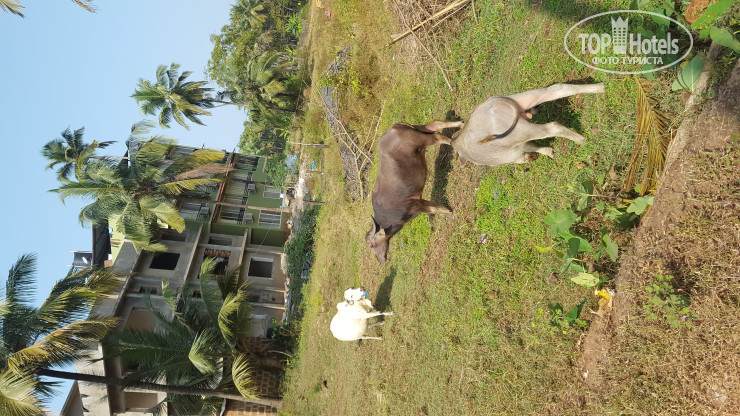 New photos from tourists Aquarii Hotels Morjim 2*