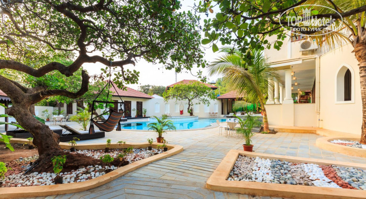New photos from tourists Aura Goa