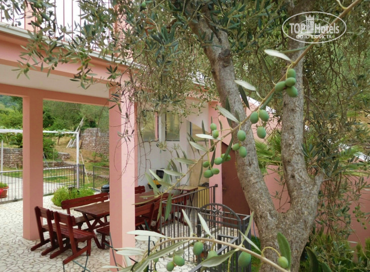 Новые добавленные фото туристов Villa Luka