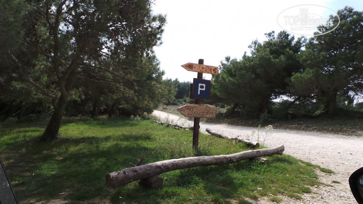 New photos from tourists Tisa Guest House 3*
