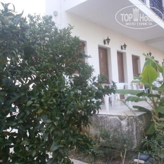 Photos Villa Alexandra