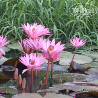 Photos Mrauk U Palace Resort