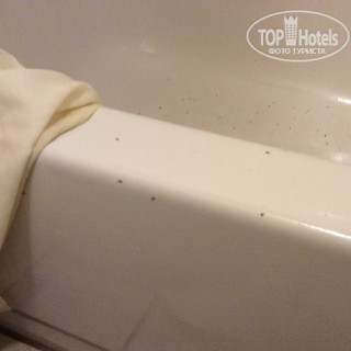 Фото Good Nite Inn Camarillo