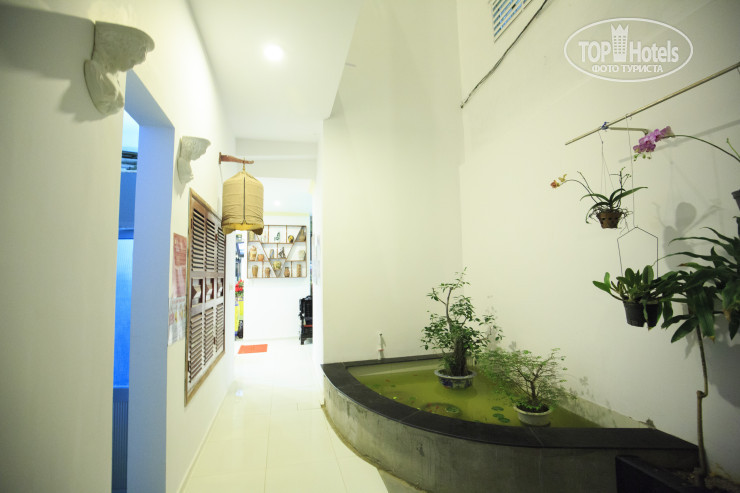 Hotelier's photos Mimosa Hotel 2*