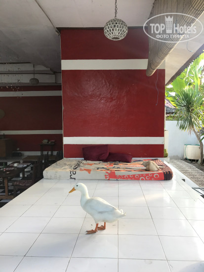 Hotelier's photos Nusa Garden Bungalow