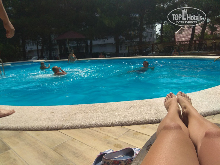 Hotelier's photos Плеяда
