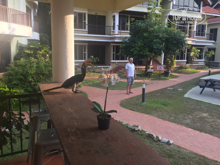 New photos from tourists Anjungan Beach Resort & Spa 3*