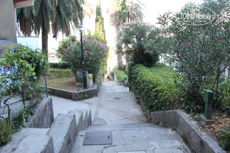 New photos from tourists Apartment Montenegro