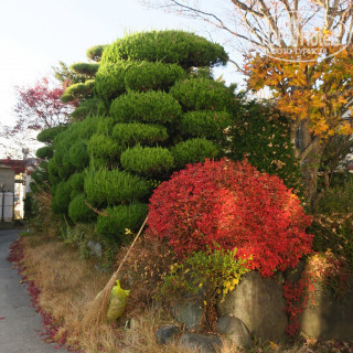 Photos FujizakuraInn
