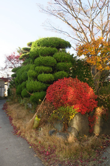 Фото FujizakuraInn