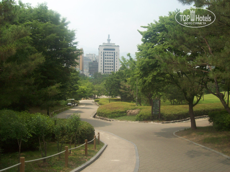 New photos from tourists Roo Roo Residence 3*