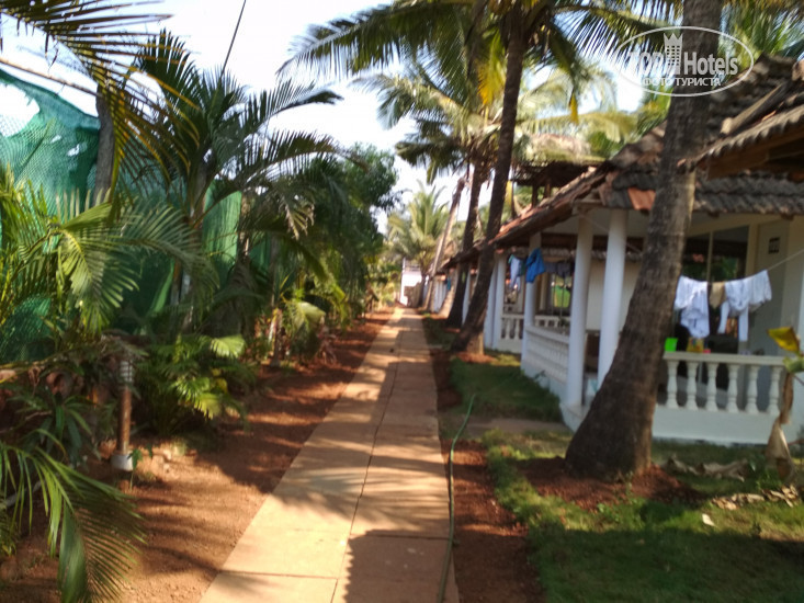 New photos from tourists Morjim Holiday Beach Resort 2*